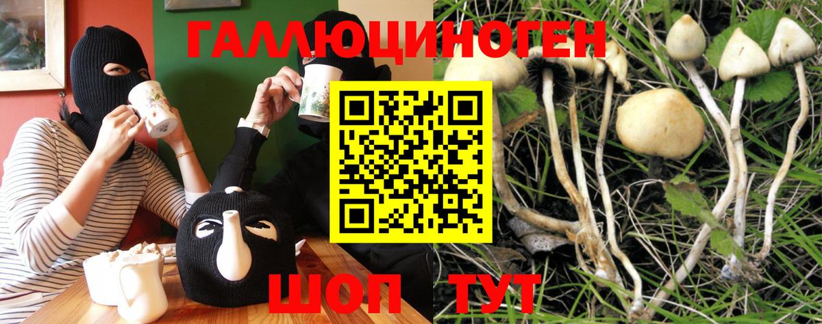 Псилоцибиновые грибы прущие грибы Усть-Кут