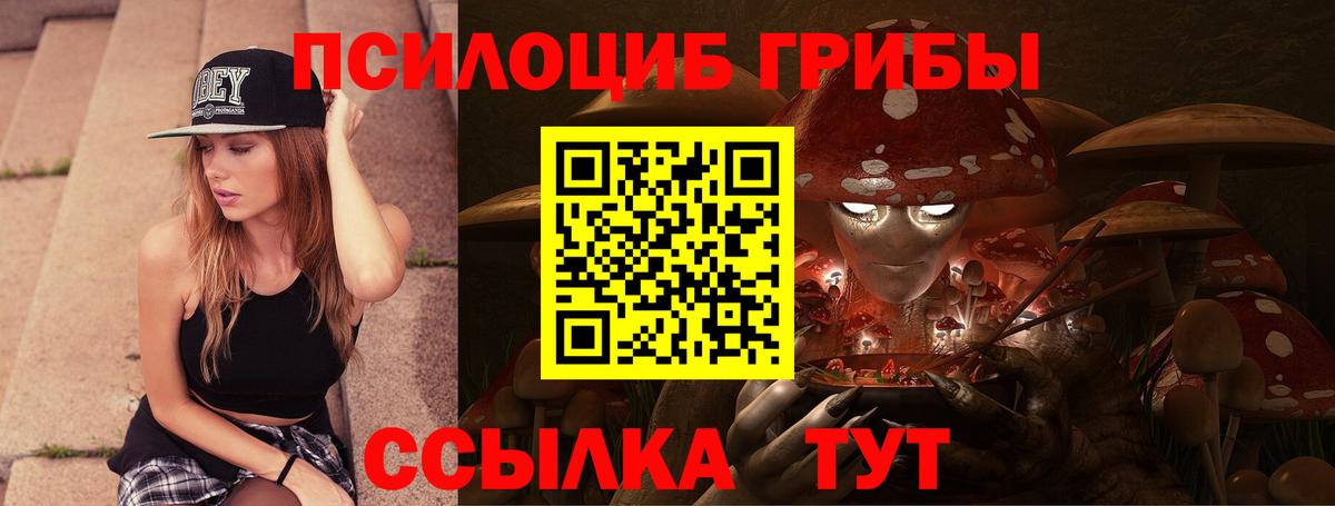 Усть-Кут  Псилоцибиновые грибы прущие грибы  Вход с VPN  Галлюциногенные грибы Magic Shrooms 